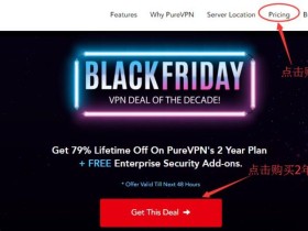 PureVPN黑色星期五最新特惠，最低只需每月1.32美元